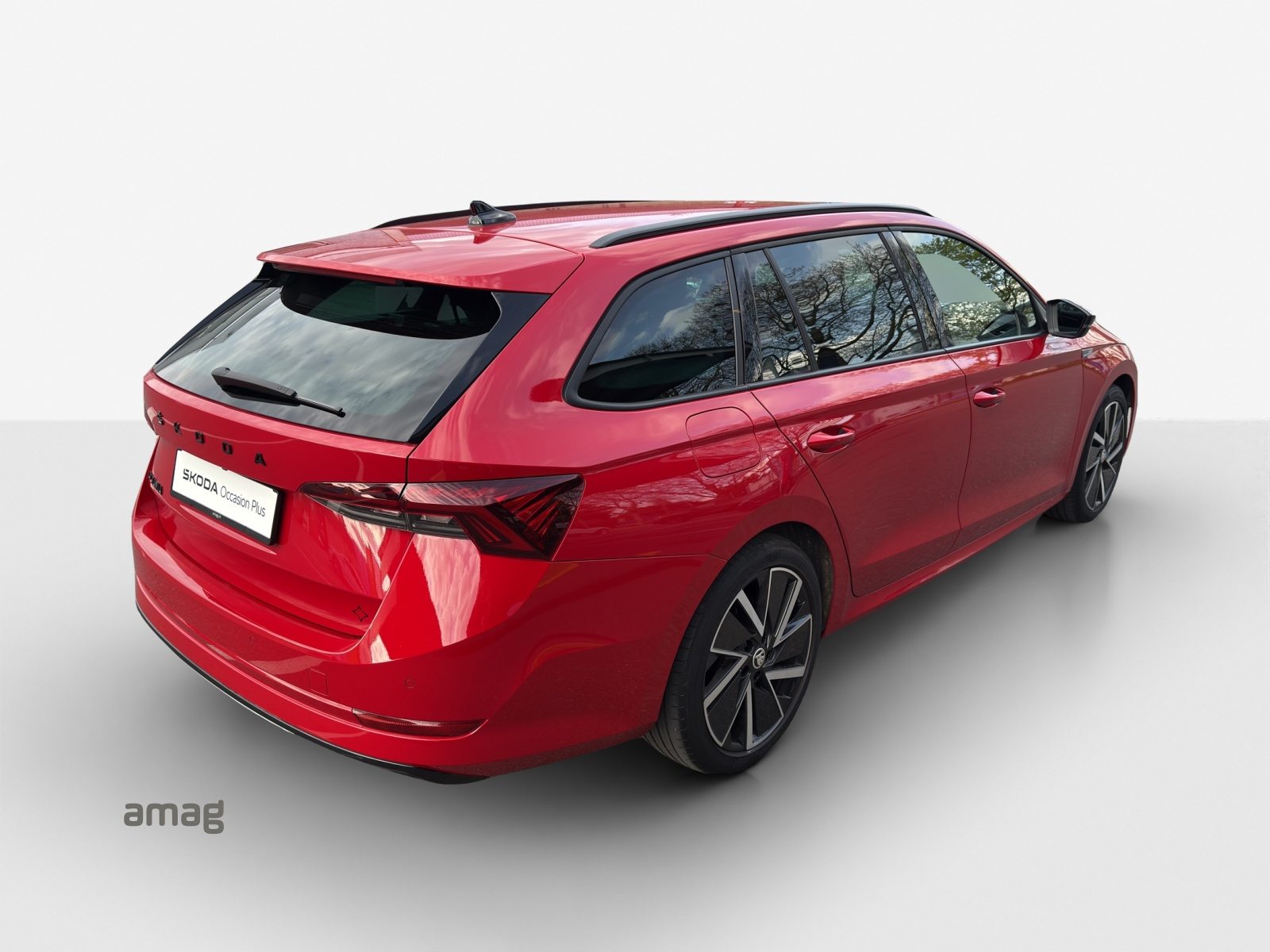 SKODA Octavia SportLine, Benzina, Occasioni / Usate, Automatico - 5