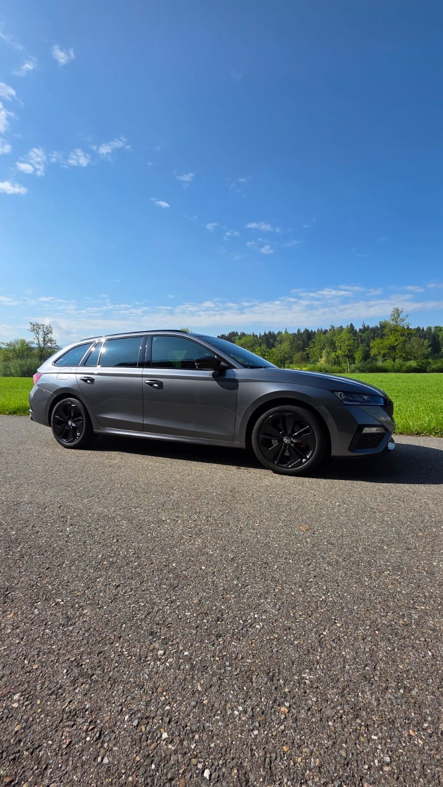 SKODA Octavia Combi 2.0 TDI DSG RS 4x4, Diesel, Occasion / Utilisé, Automatique - 2