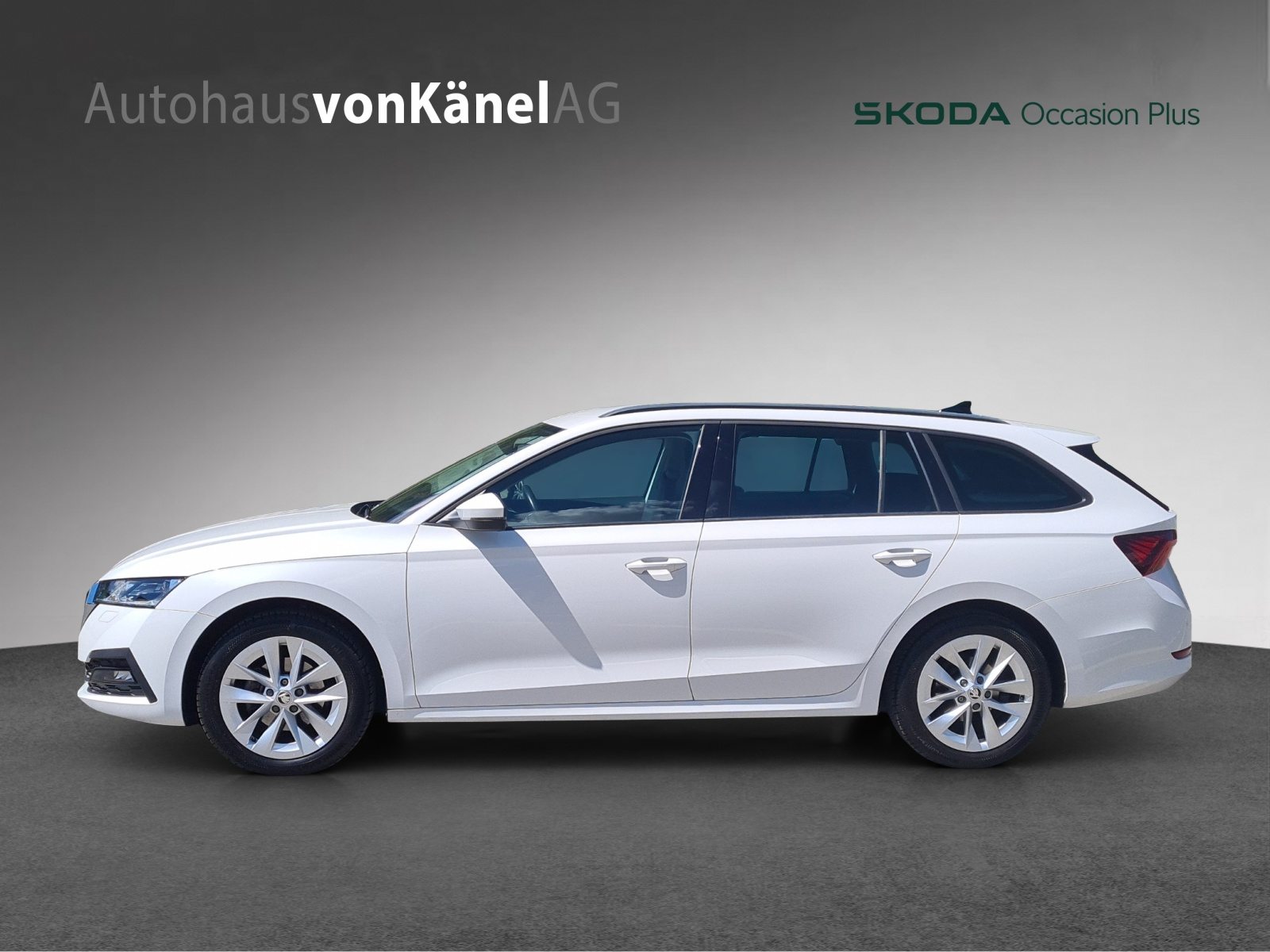 SKODA Octavia Ambition, Diesel, Occasion / Gebraucht, Automatik - 2
