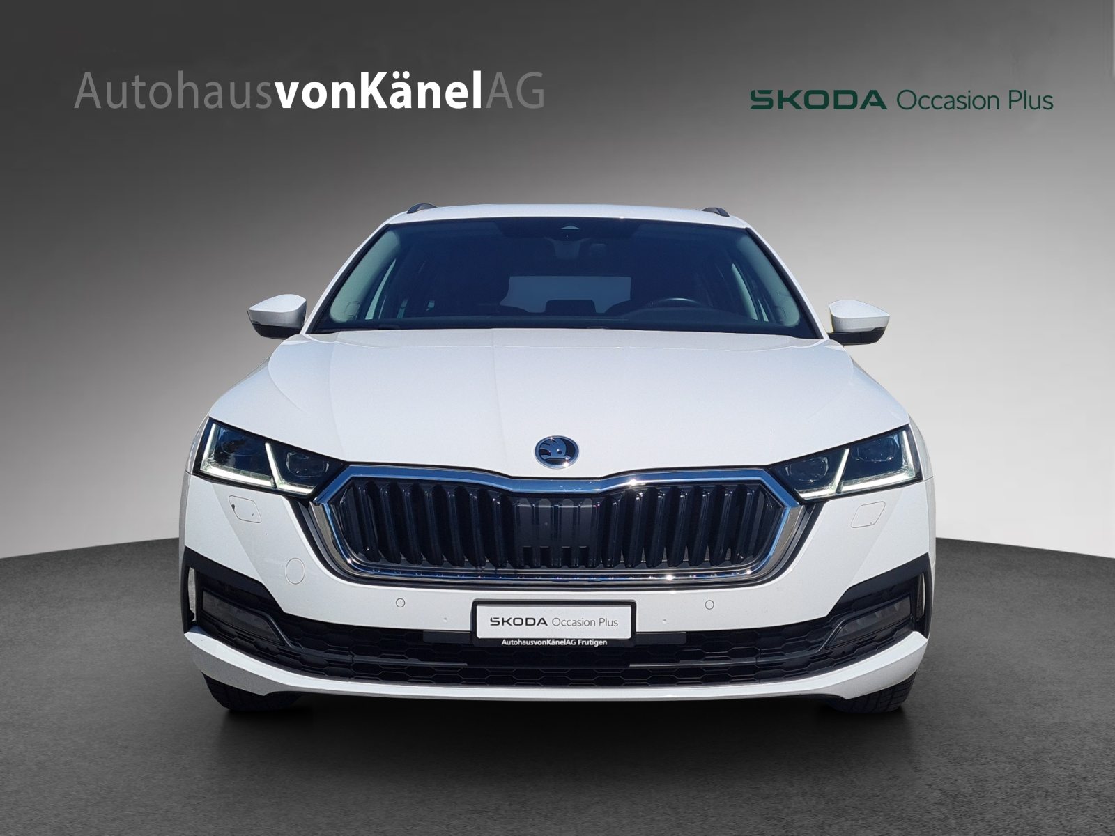 SKODA Octavia Ambition, Diesel, Occasion / Gebraucht, Automatik - 4