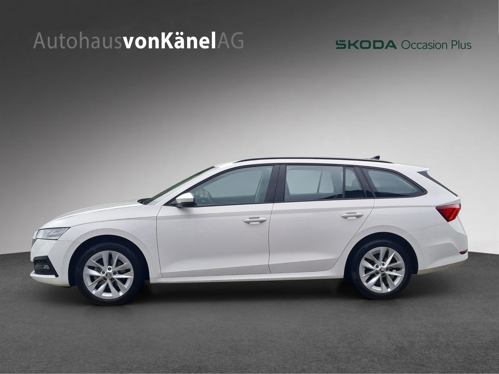 SKODA Octavia Ambition, Diesel, Occasion / Utilisé, Automatique - 2