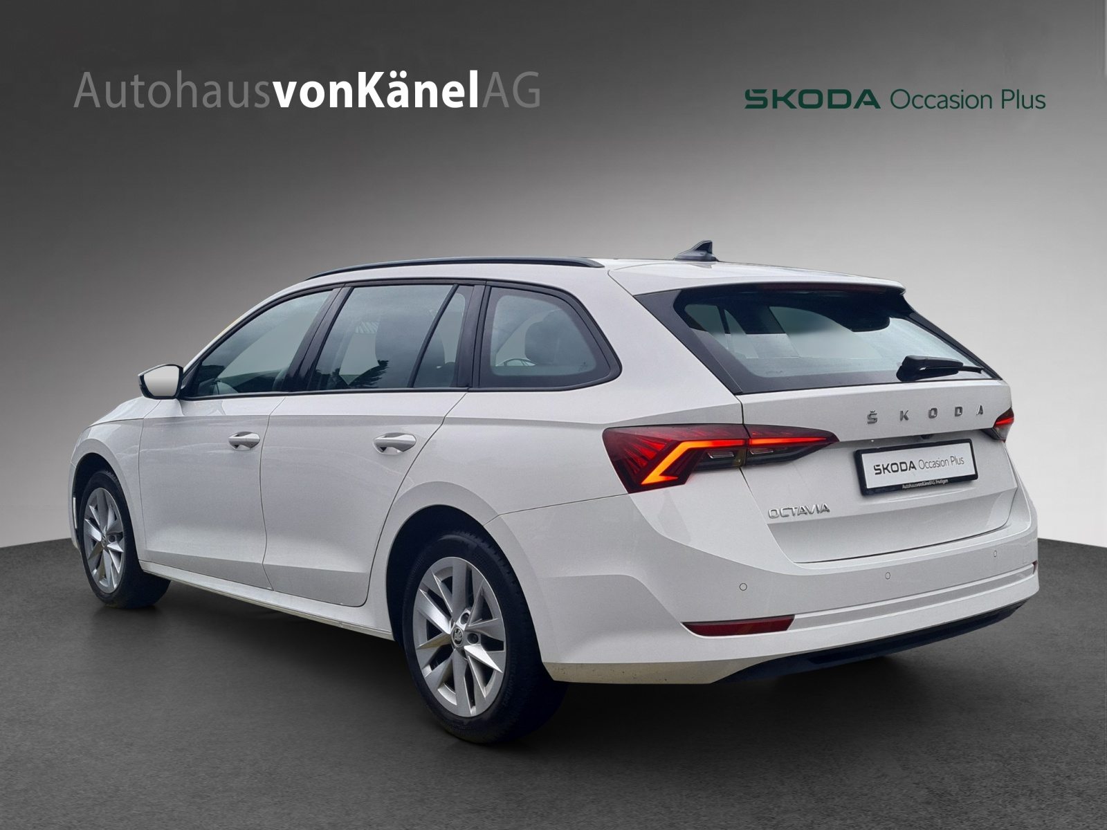 SKODA Octavia Ambition, Diesel, Occasion / Utilisé, Automatique - 3