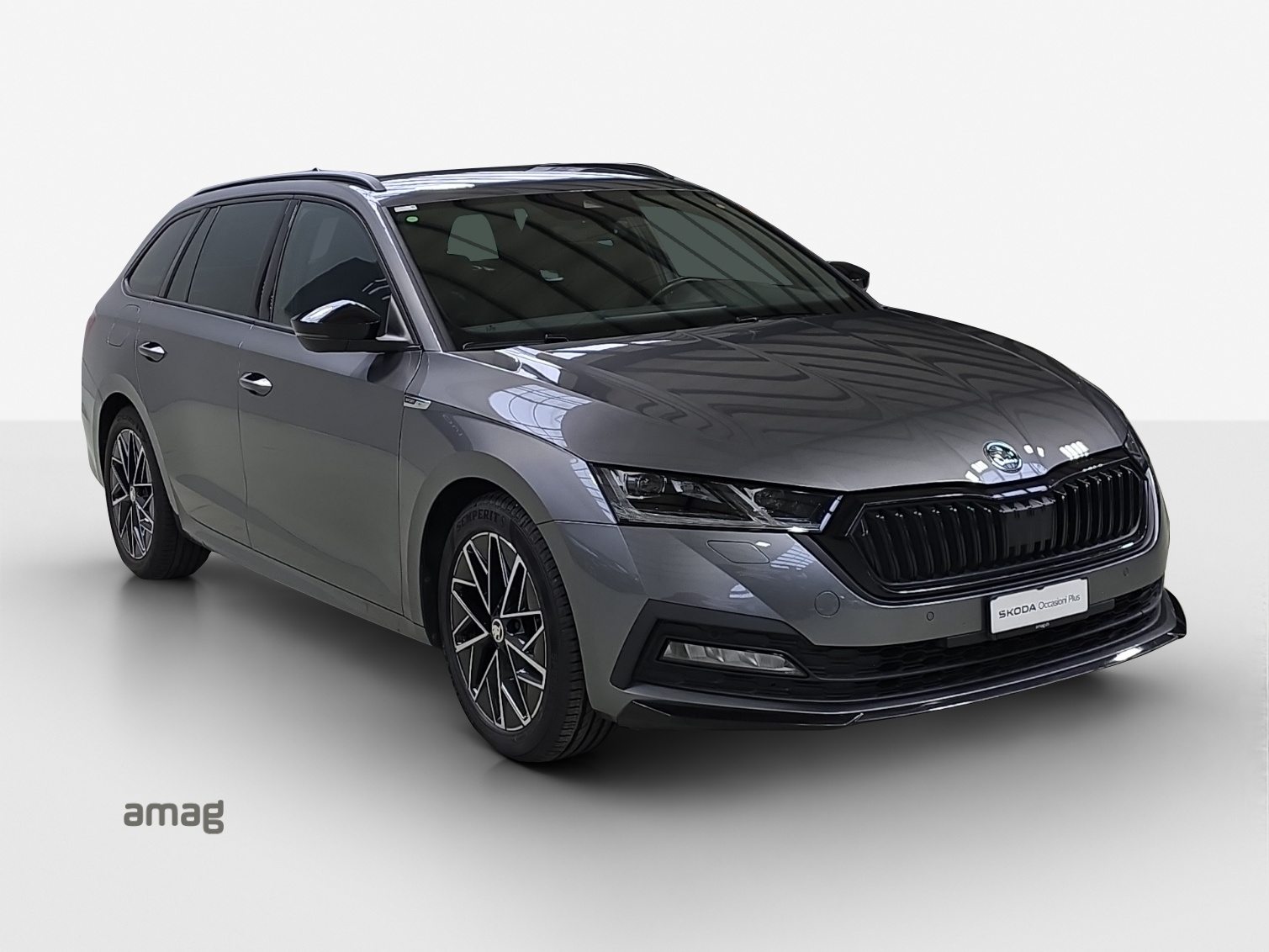SKODA Octavia SportLine, Benzina, Occasioni / Usate, Automatico - 6