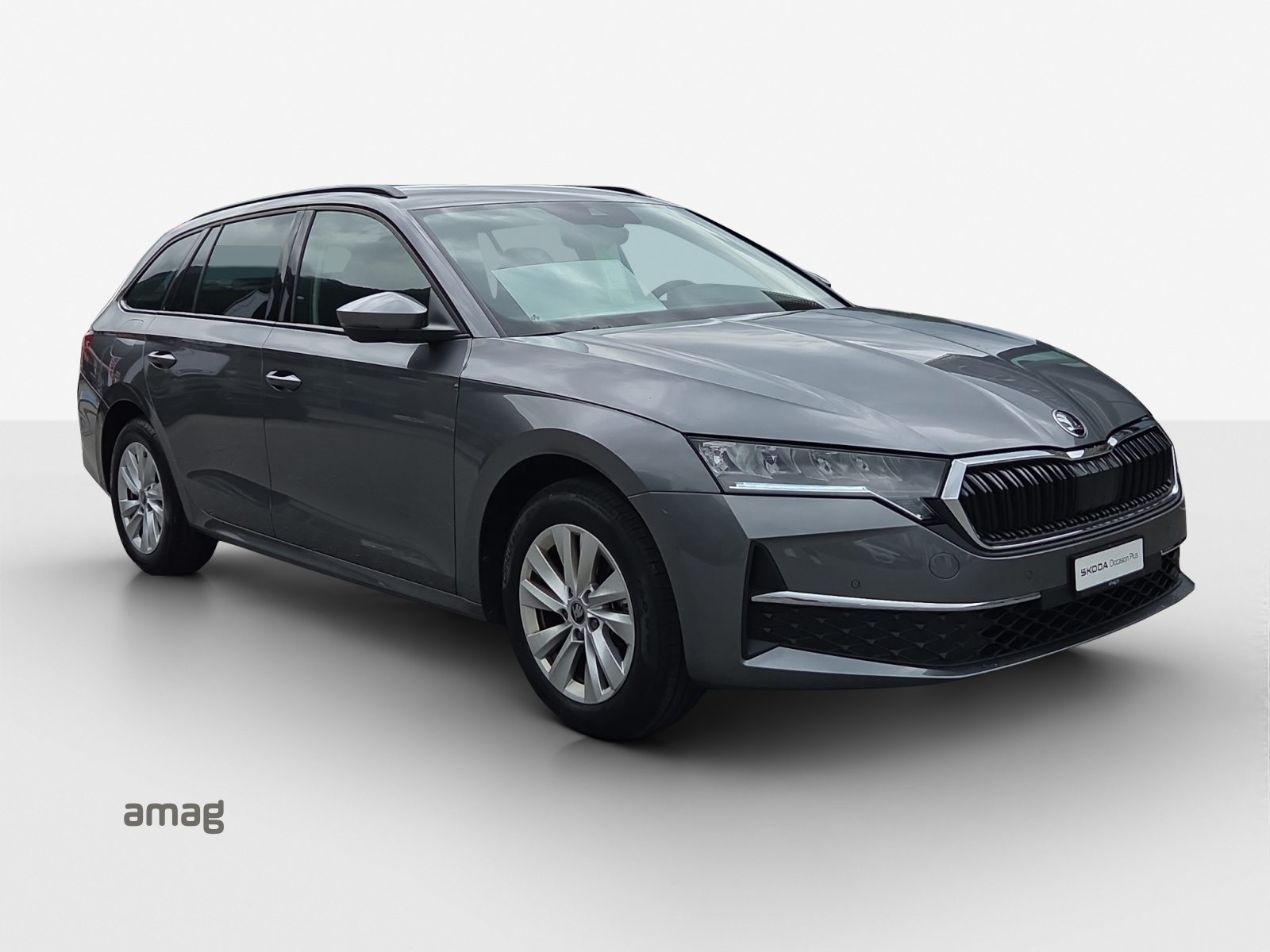 SKODA Octavia Selection, Diesel, Occasioni / Usate, Automatico - 6