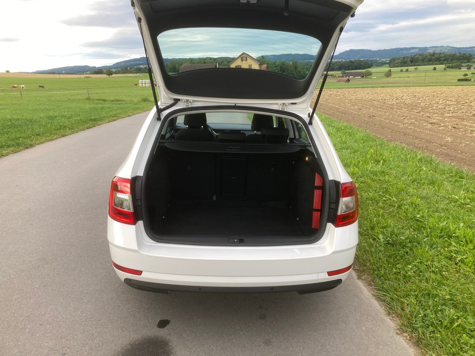 SKODA Octavia Combi 1.6 TDI Ambition DSG, Diesel, Occasioni / Usate, Automatico - 6