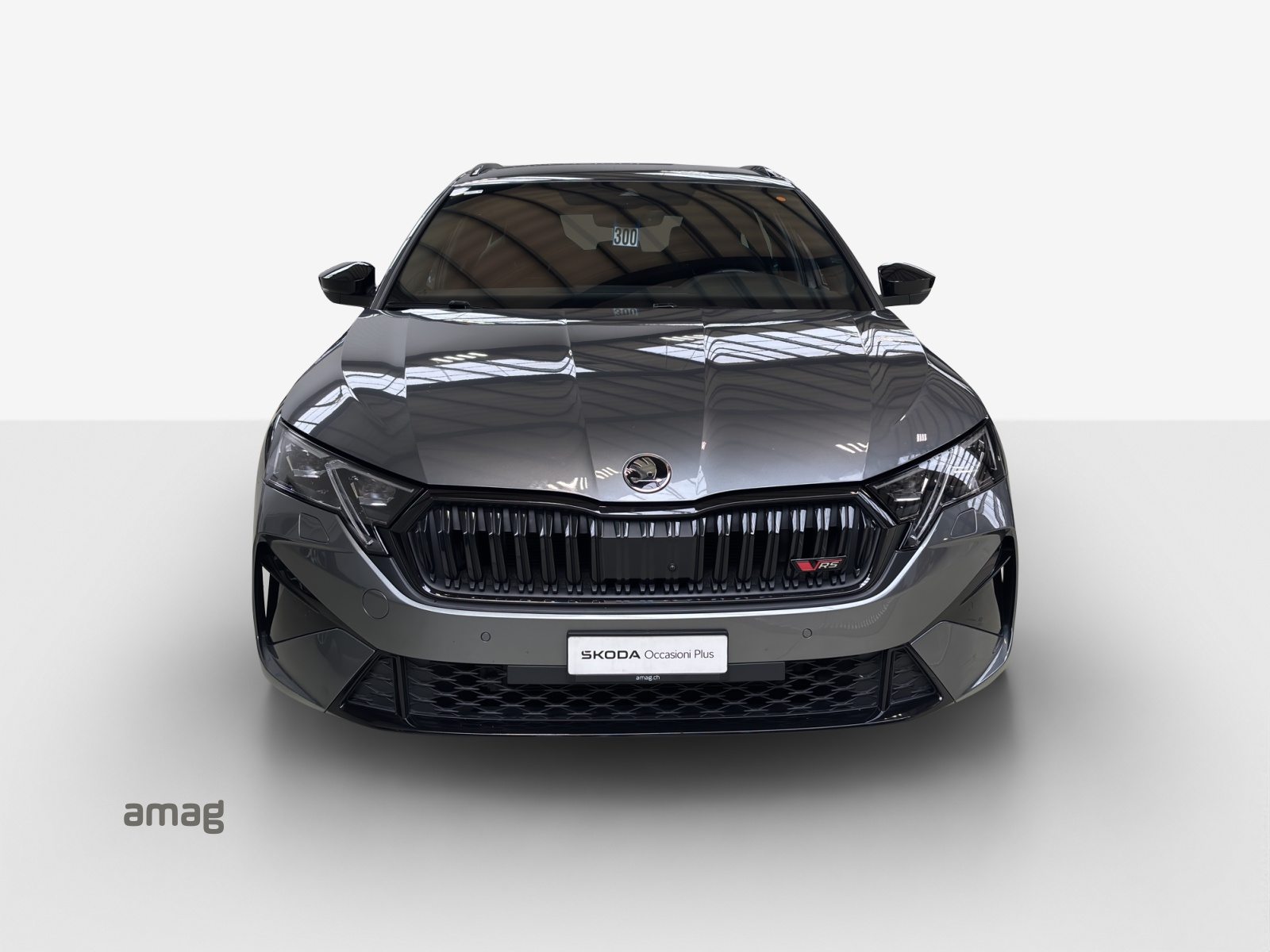SKODA Octavia RS, Benzina, Occasioni / Usate, Automatico - 7
