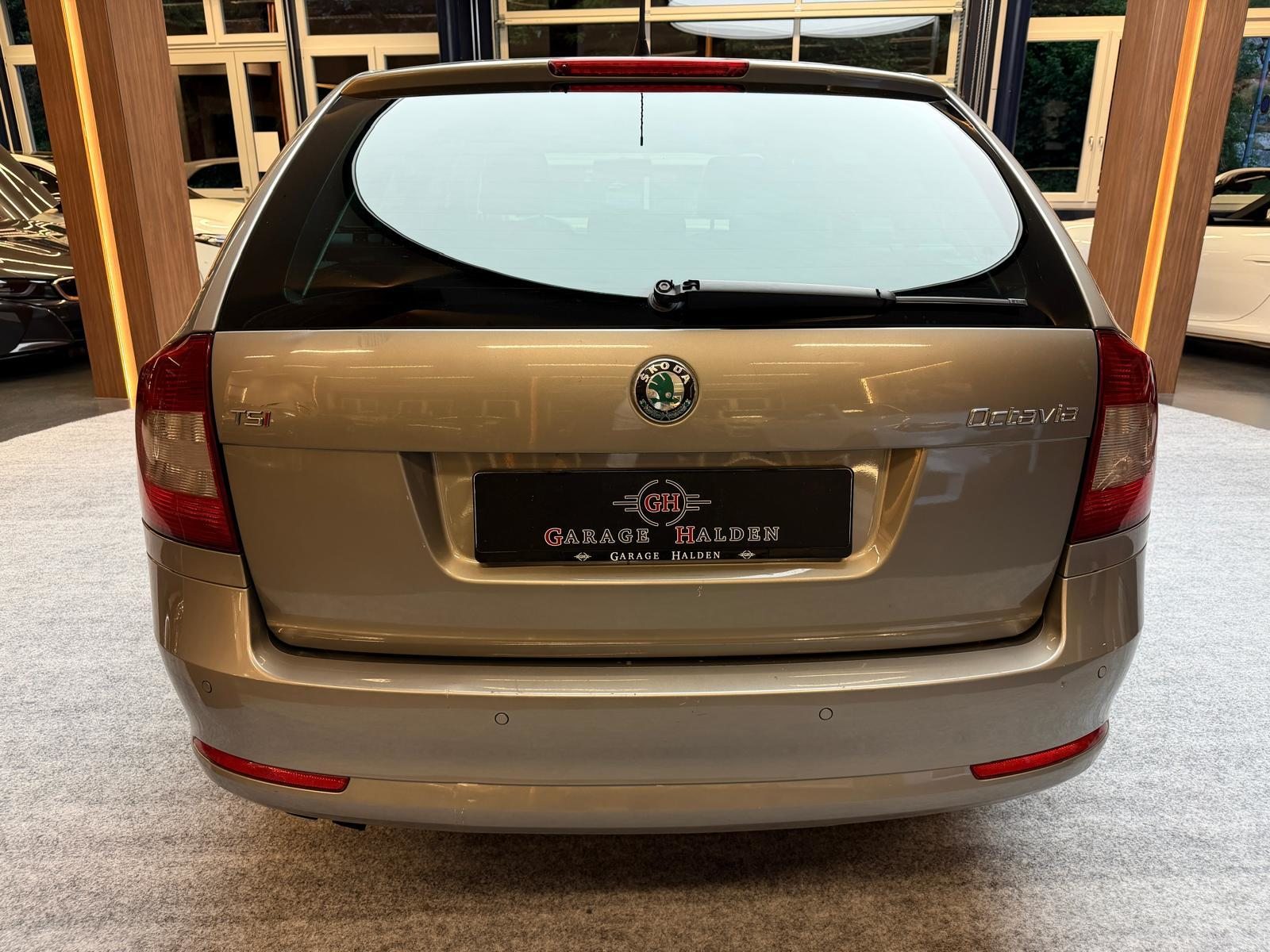 SKODA Octavia Combi 1.8 T-FSI Ambiente, Benzina, Occasioni / Usate, Manuale - 7