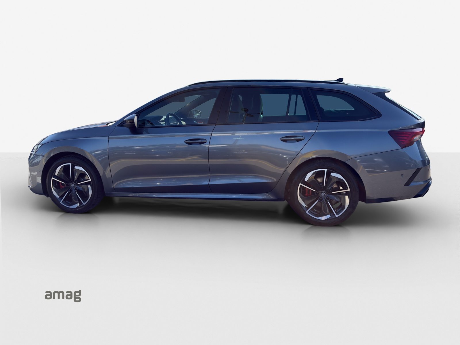 SKODA Octavia RS, Benzina, Occasioni / Usate, Automatico - 2
