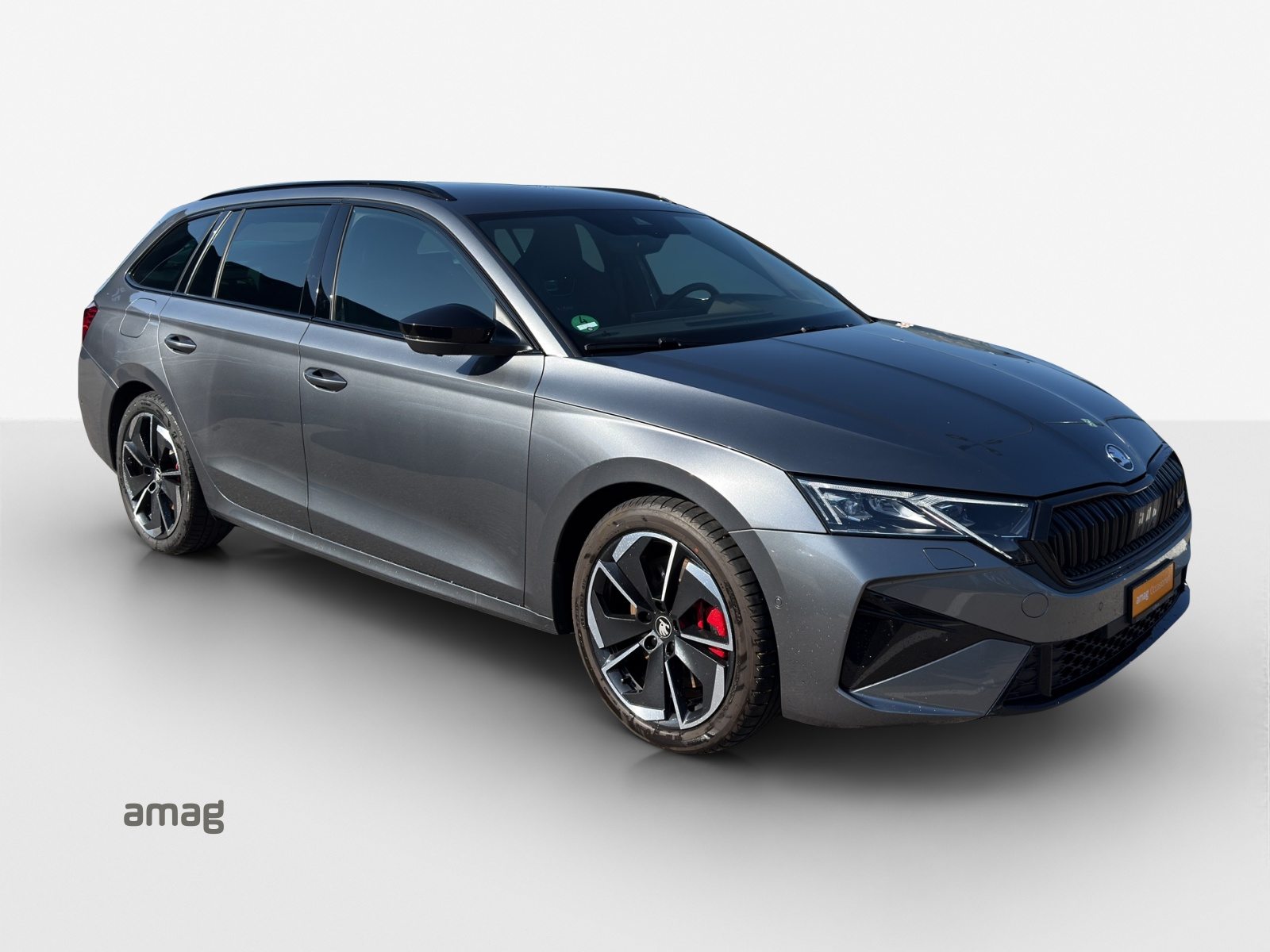 SKODA Octavia RS, Benzina, Occasioni / Usate, Automatico - 6