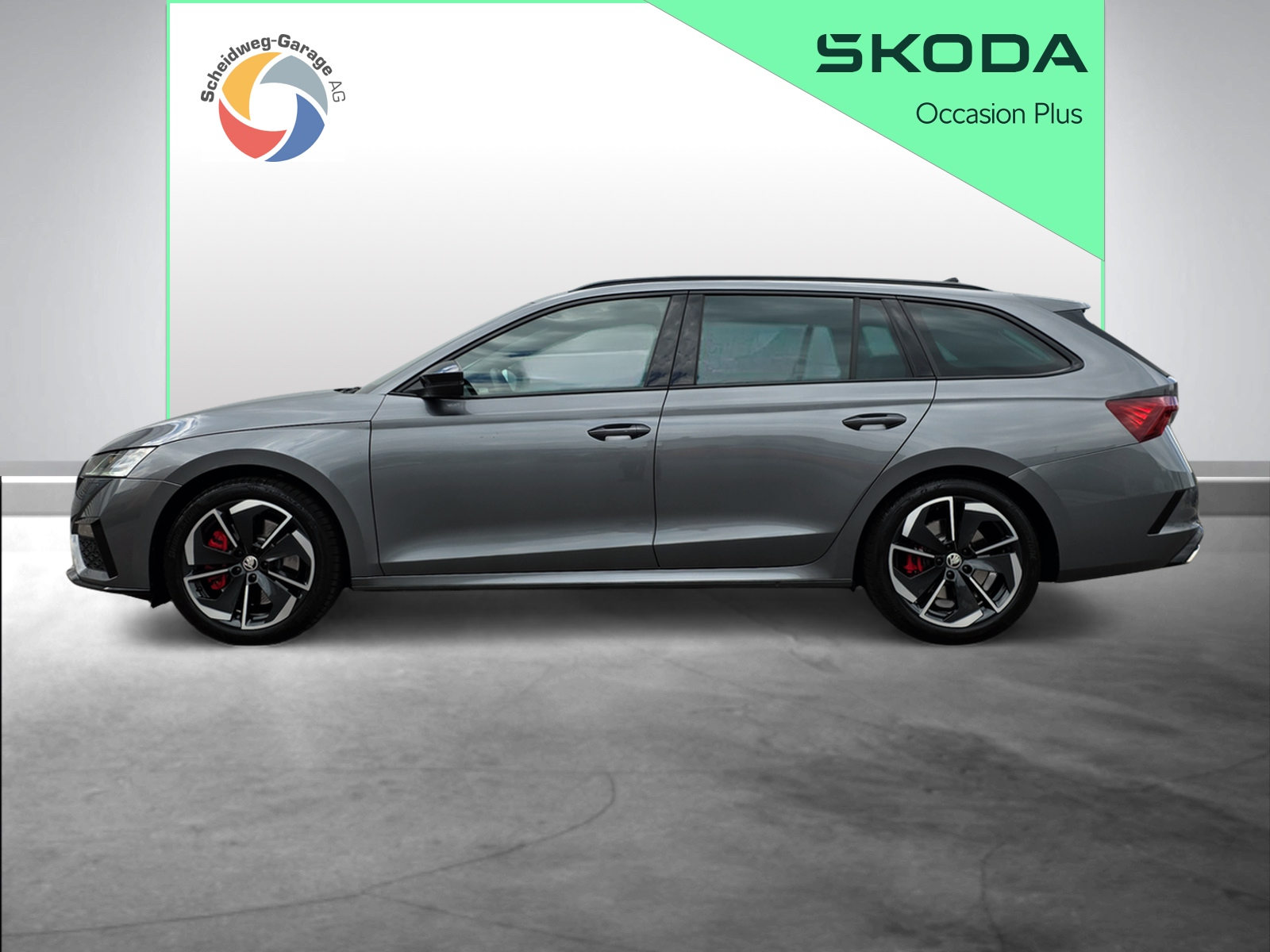SKODA Octavia RS, Benzina, Occasioni / Usate, Automatico - 3