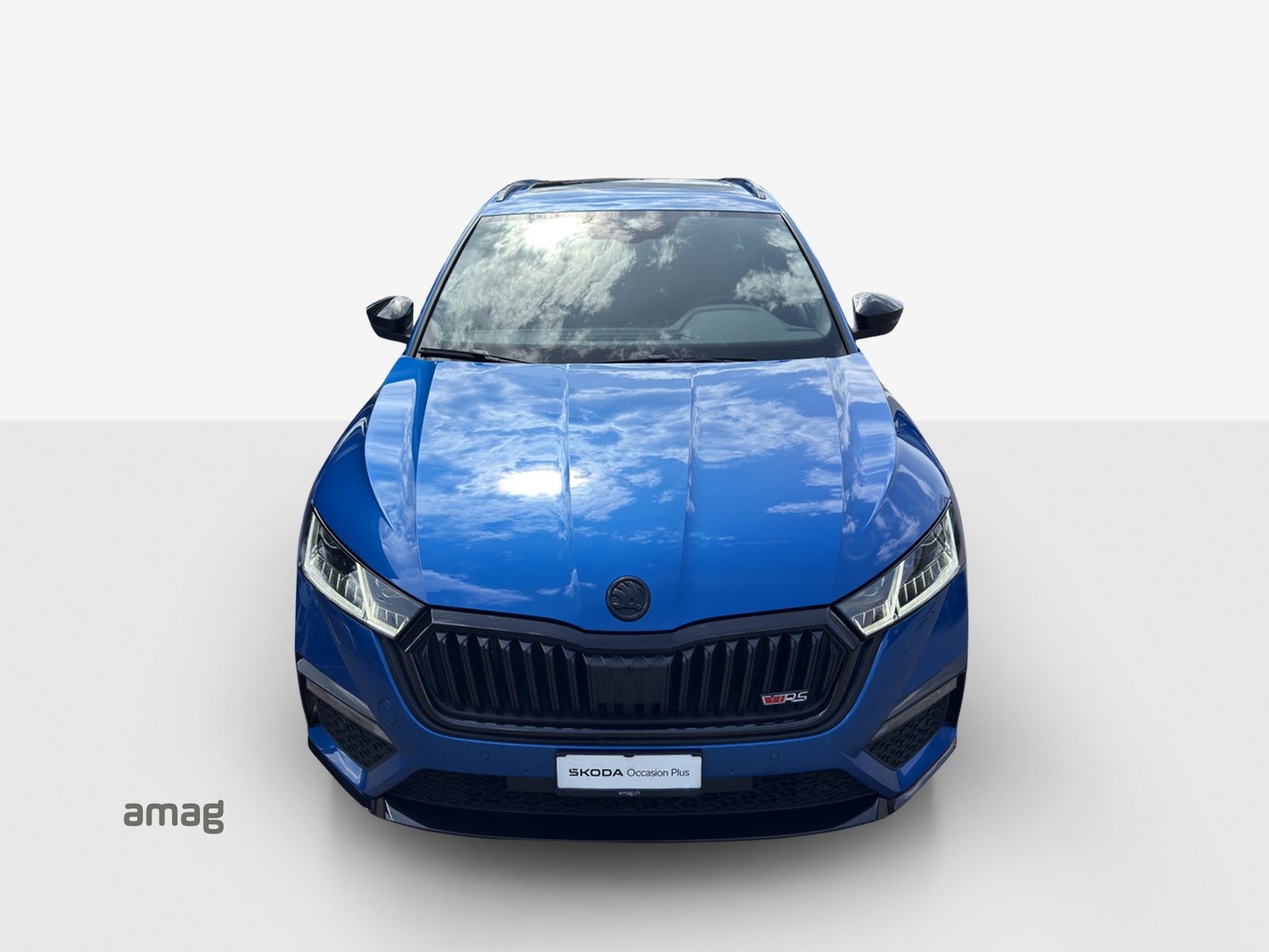 SKODA Octavia RS, Diesel, Occasion / Gebraucht, Automatik - 7