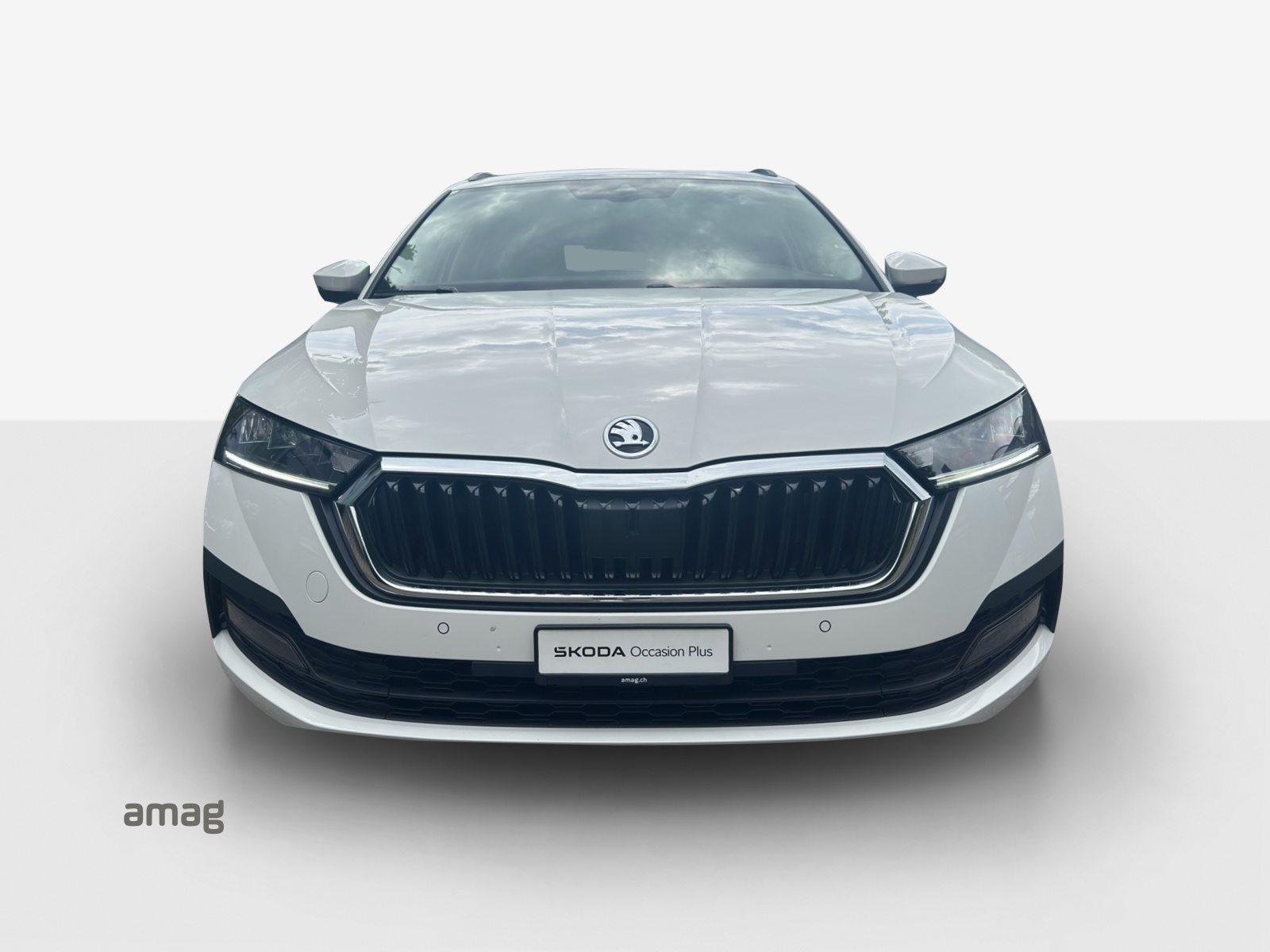 SKODA Octavia Ambition, Diesel, Occasion / Gebraucht, Automatik - 7