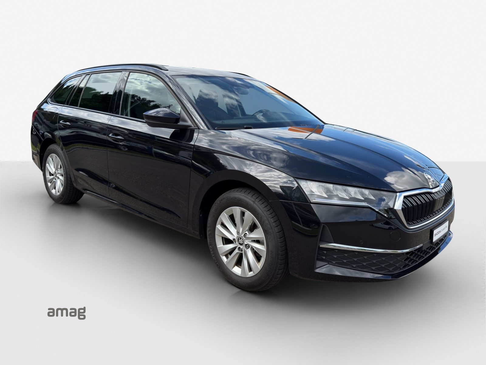 SKODA Octavia Selection, Diesel, Occasioni / Usate, Automatico - 6