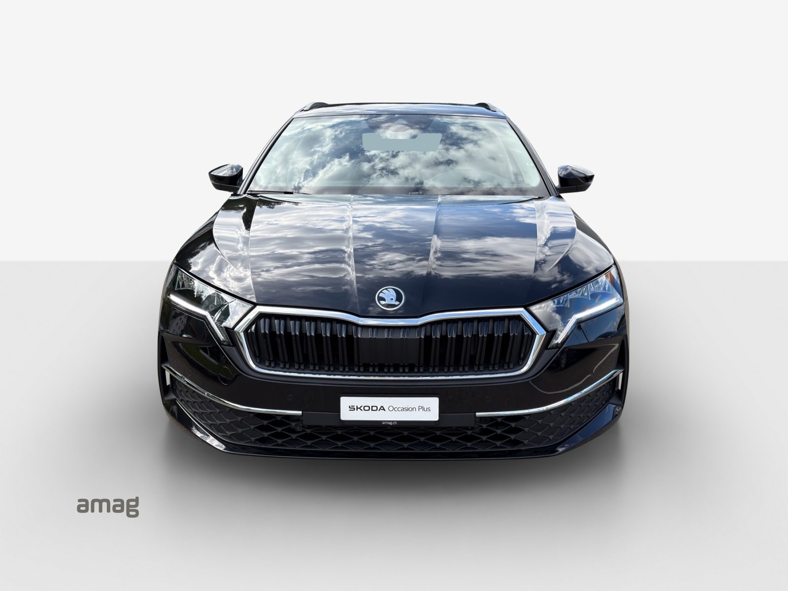 SKODA Octavia Selection, Diesel, Occasioni / Usate, Automatico - 7