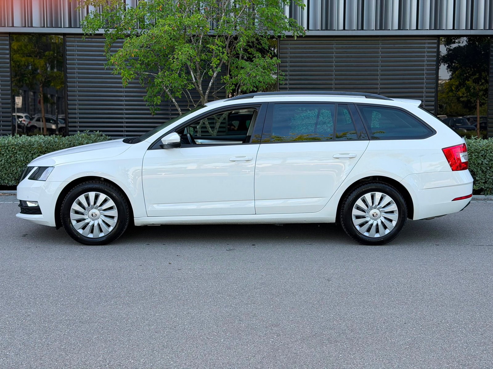 SKODA Octavia Combi 1.6 TDI Ambition 4x4, Diesel, Occasioni / Usate, Manuale - 4