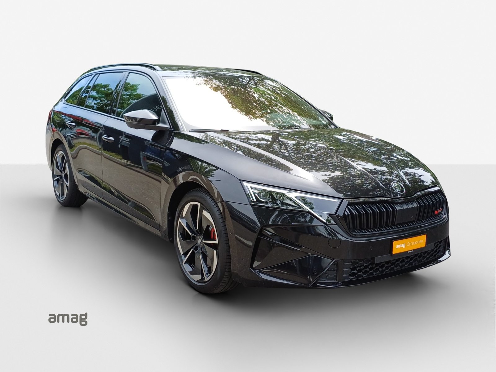 SKODA Octavia RS, Benzina, Occasioni / Usate, Automatico - 6