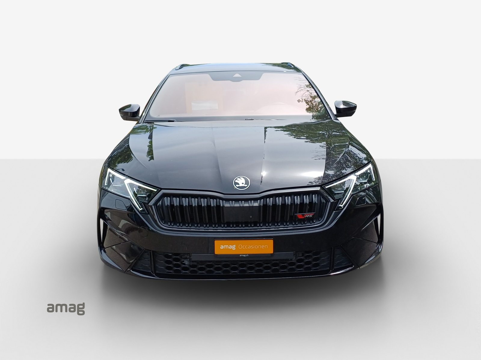 SKODA Octavia RS, Benzina, Occasioni / Usate, Automatico - 7