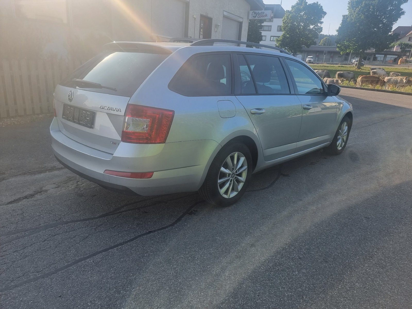 SKODA Octavia Combi 1.6 TDI Ambition 4x4, Diesel, Occasioni / Usate, Manuale - 7