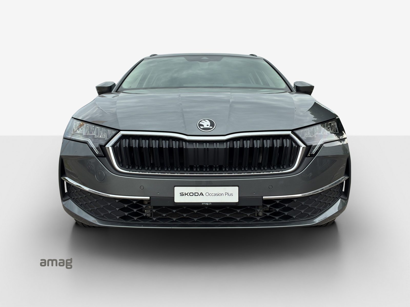 SKODA Octavia Selection, Diesel, Occasioni / Usate, Automatico - 7