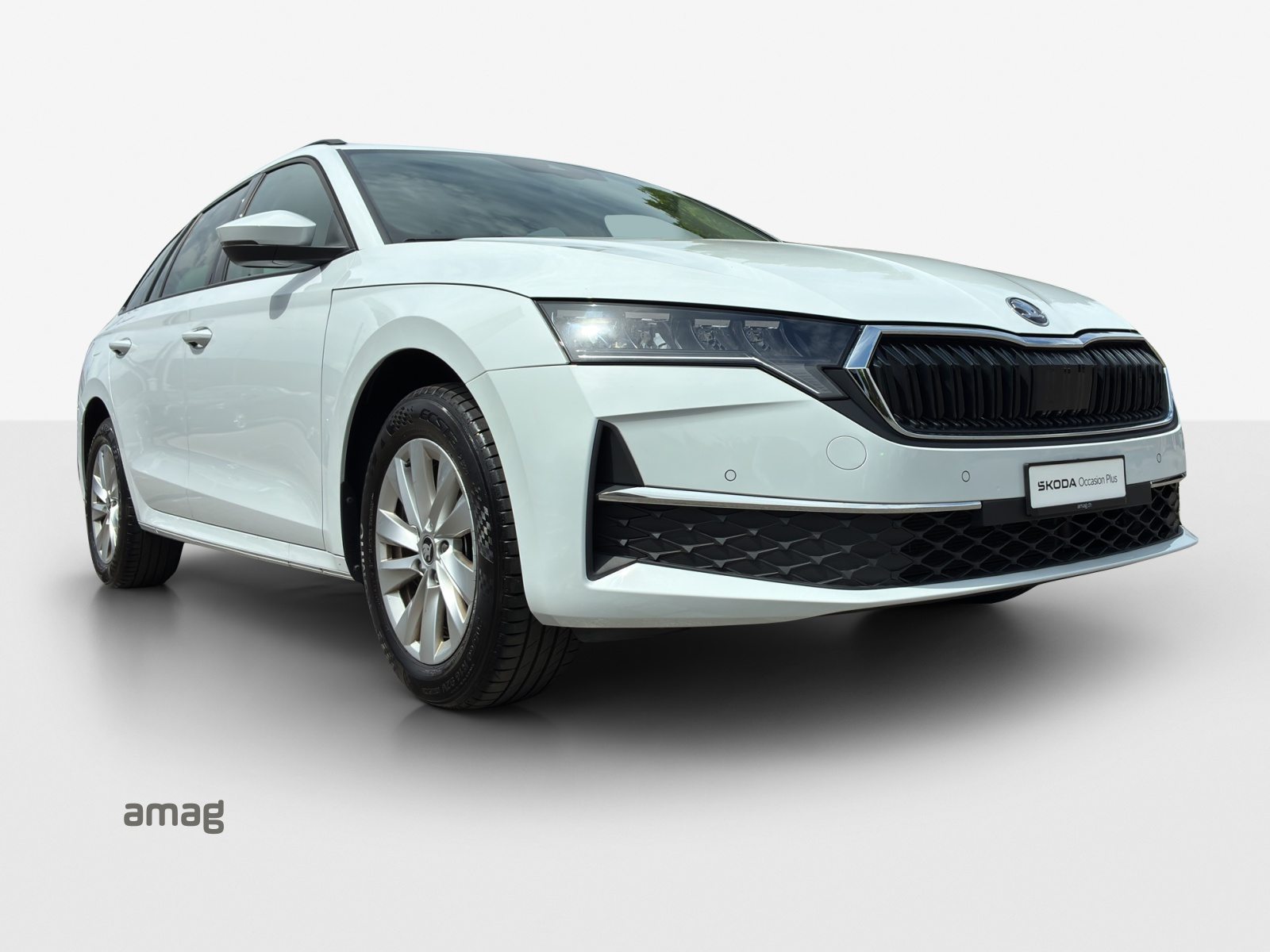 SKODA Octavia Selection, Diesel, Occasioni / Usate, Automatico - 6