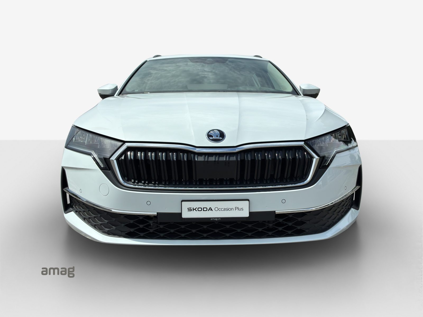 SKODA Octavia Selection, Diesel, Occasioni / Usate, Automatico - 7