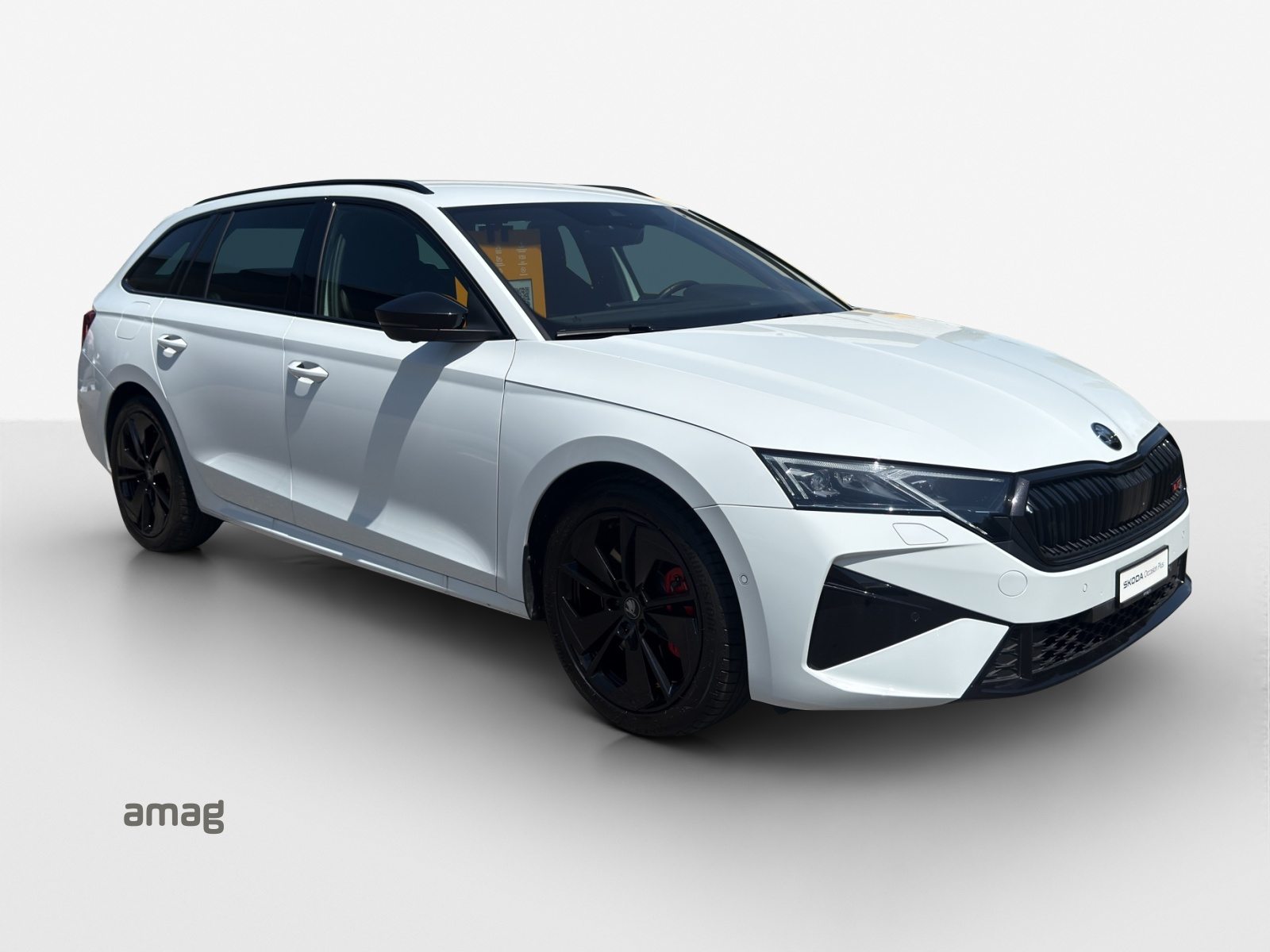 SKODA Octavia RS, Benzina, Occasioni / Usate, Automatico - 6