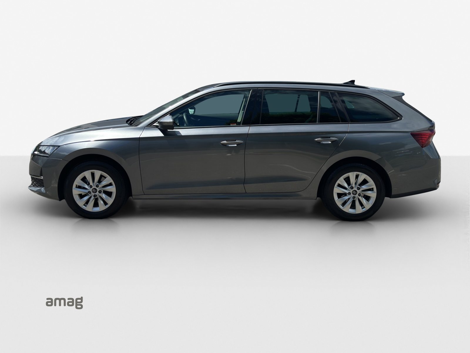 SKODA Octavia Ambition, Diesel, Occasioni / Usate, Automatico - 3