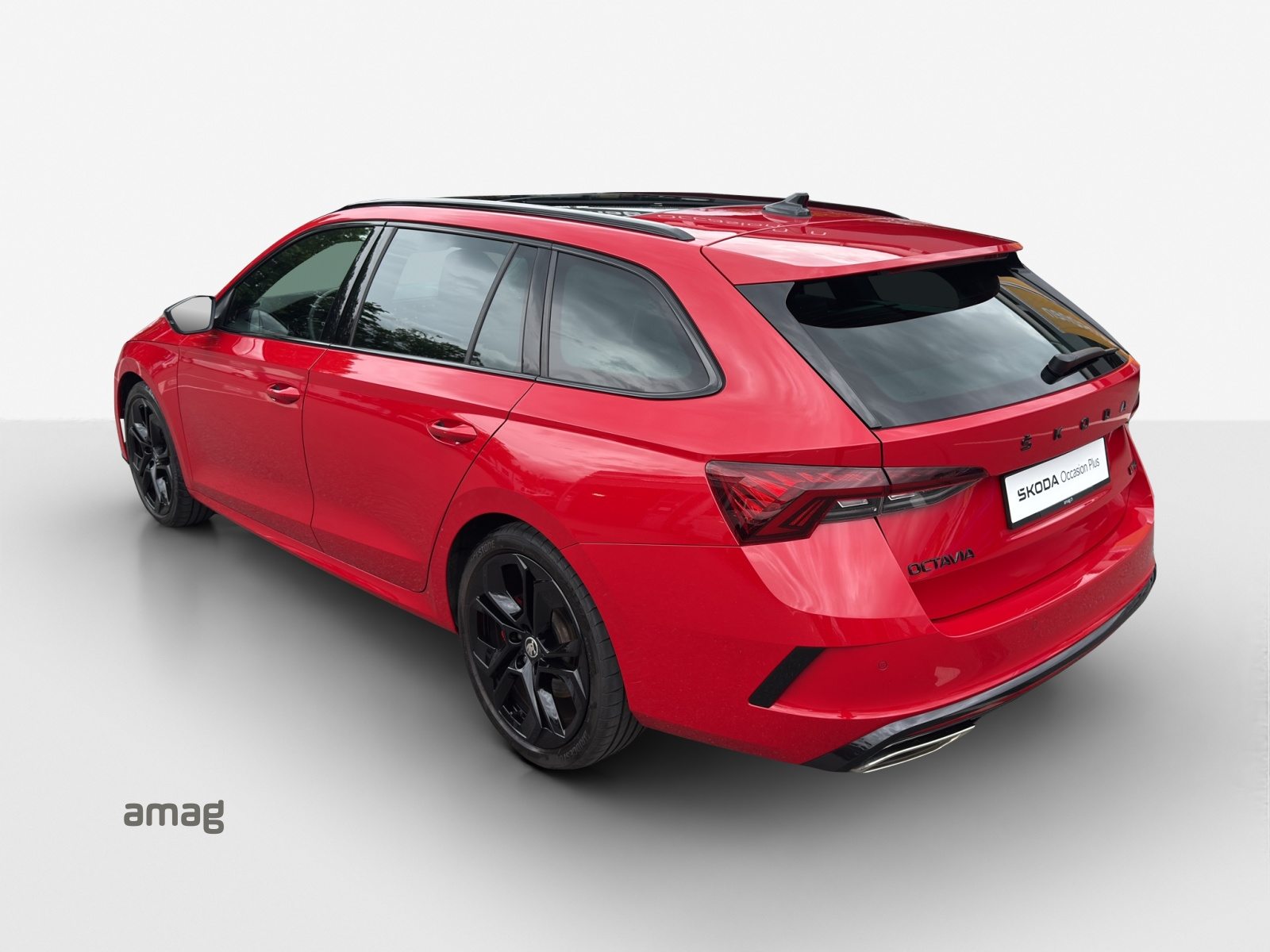 SKODA Octavia RS, Benzina, Occasioni / Usate, Automatico - 3