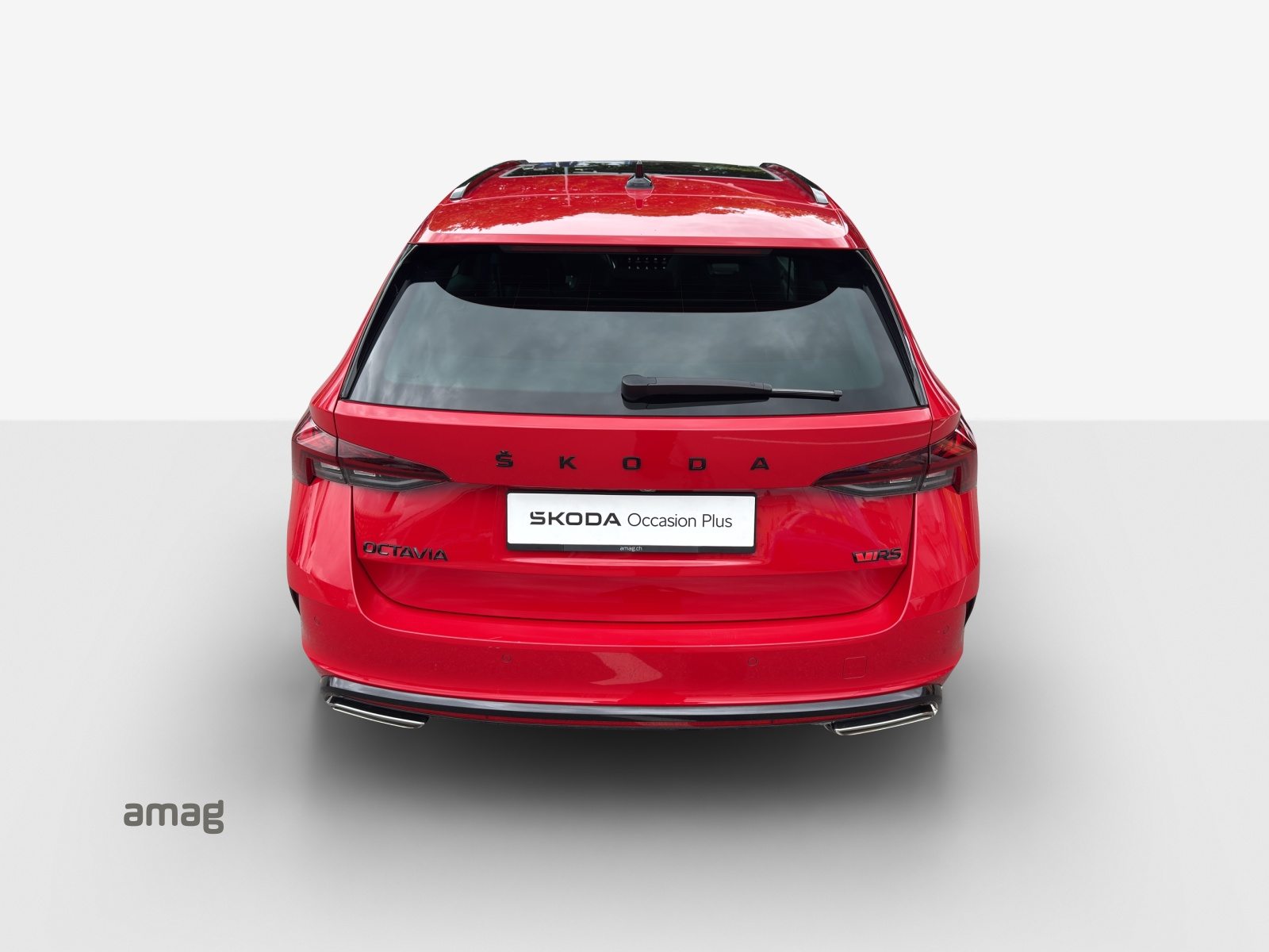 SKODA Octavia RS, Benzina, Occasioni / Usate, Automatico - 4