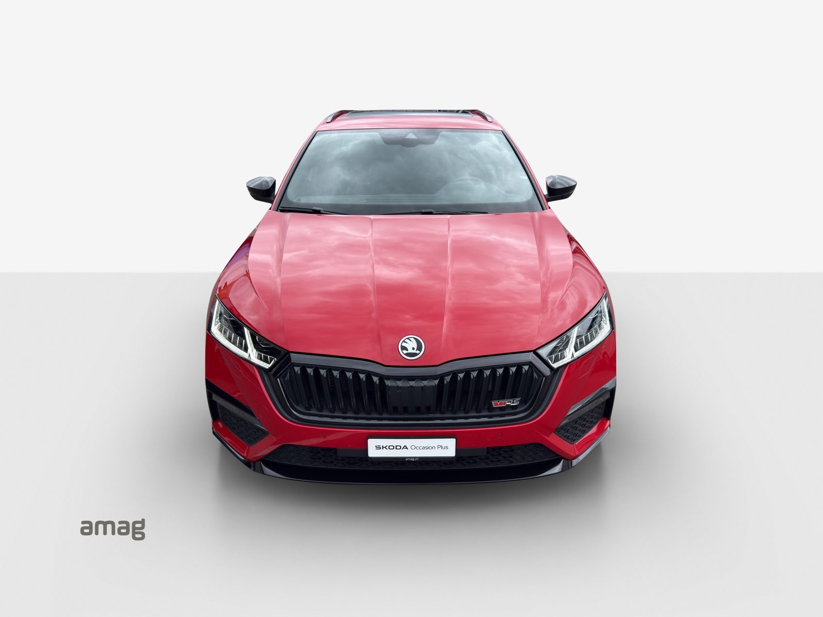 SKODA Octavia RS, Benzina, Occasioni / Usate, Automatico - 7