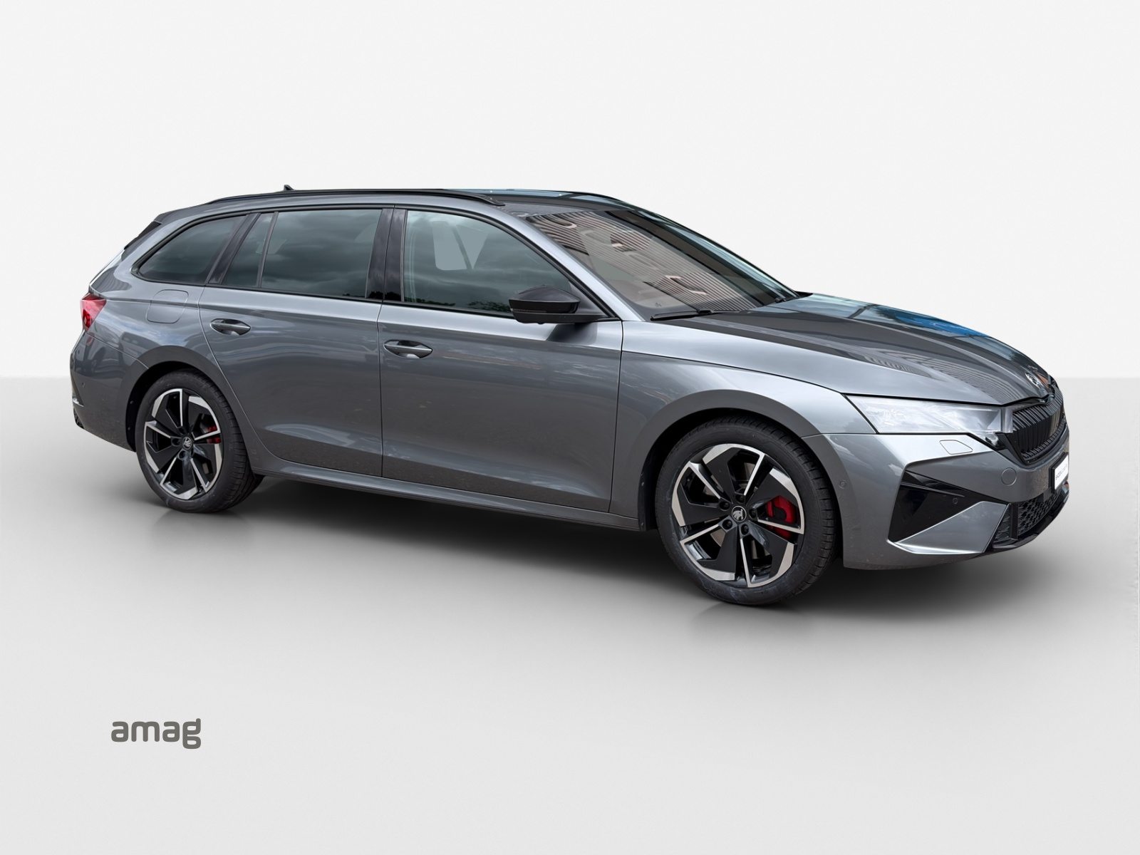 SKODA Octavia RS, Benzina, Occasioni / Usate, Automatico - 6