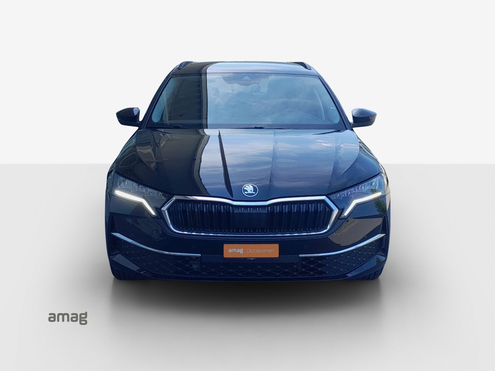 SKODA Octavia Selection MHEV, Benzina, Occasioni / Usate, Automatico - 7