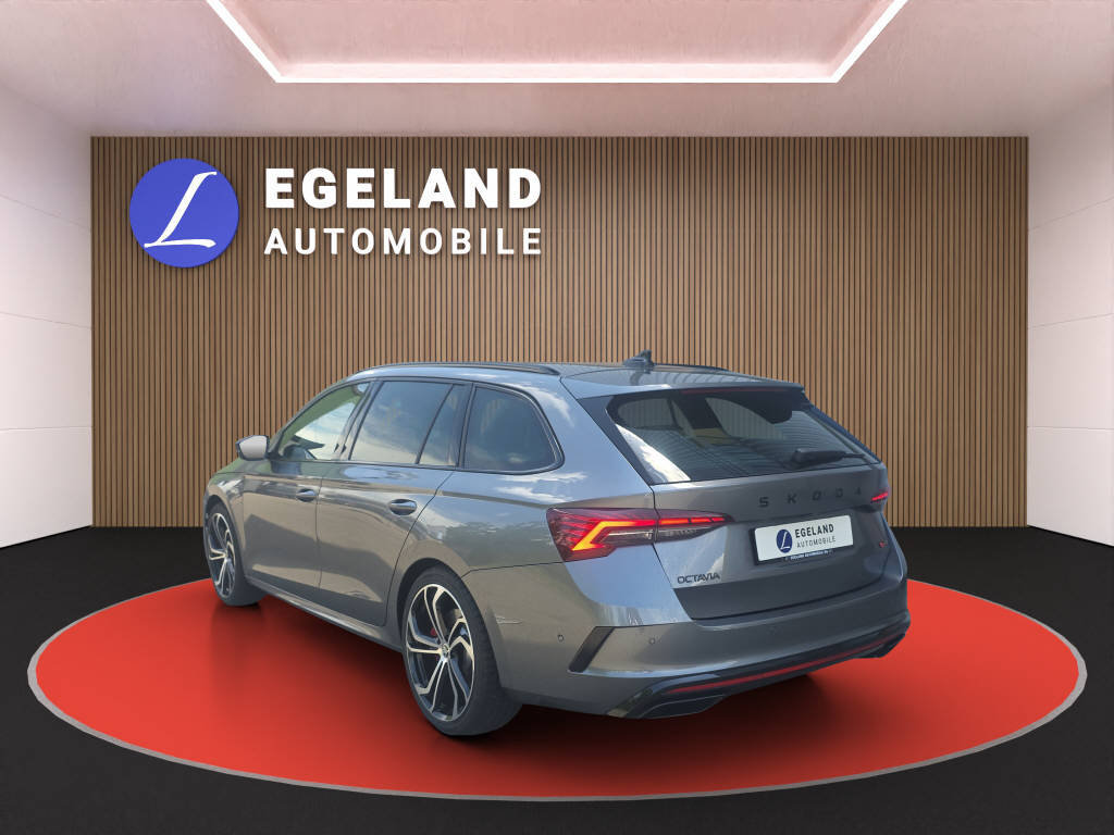 SKODA Octavia Combi 2.0 TSI RS DSG, Benzina, Occasioni / Usate, Automatico - 5
