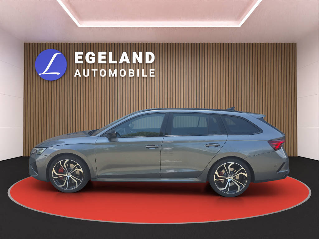 SKODA Octavia Combi 2.0 TSI RS DSG, Benzina, Occasioni / Usate, Automatico - 7