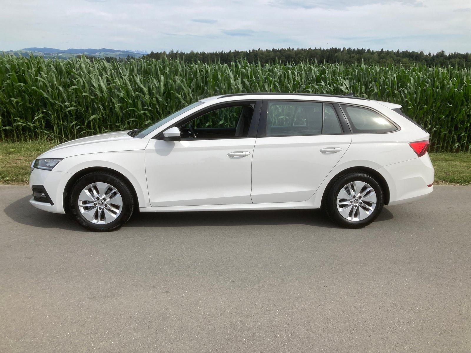 SKODA Octavia Combi 2.0 TDI Ambition, Diesel, Second hand / Used, Manual - 5