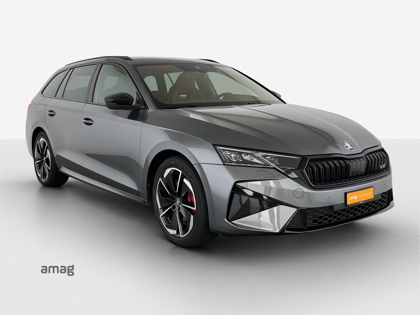 SKODA Octavia RS, Benzina, Occasioni / Usate, Automatico - 6
