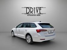 SKODA Octavia Combi 2.0 TDI DSG Ambition 4x4, Diesel, Occasioni / Usate, Automatico - 7