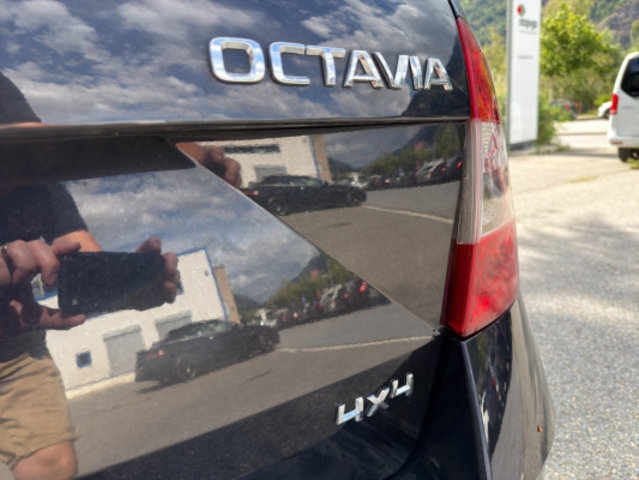 SKODA Octavia 2.0TDI Style 4x4, Occasioni / Usate, Automatico - 6