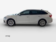 SKODA Octavia Style, Benzina, Occasioni / Usate, Automatico - 2