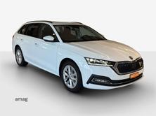 SKODA Octavia Style, Benzina, Occasioni / Usate, Automatico - 6