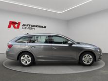 SKODA Octavia Combi 2.0 TDI DSG Ambition 4x4, Diesel, Occasioni / Usate, Automatico - 7