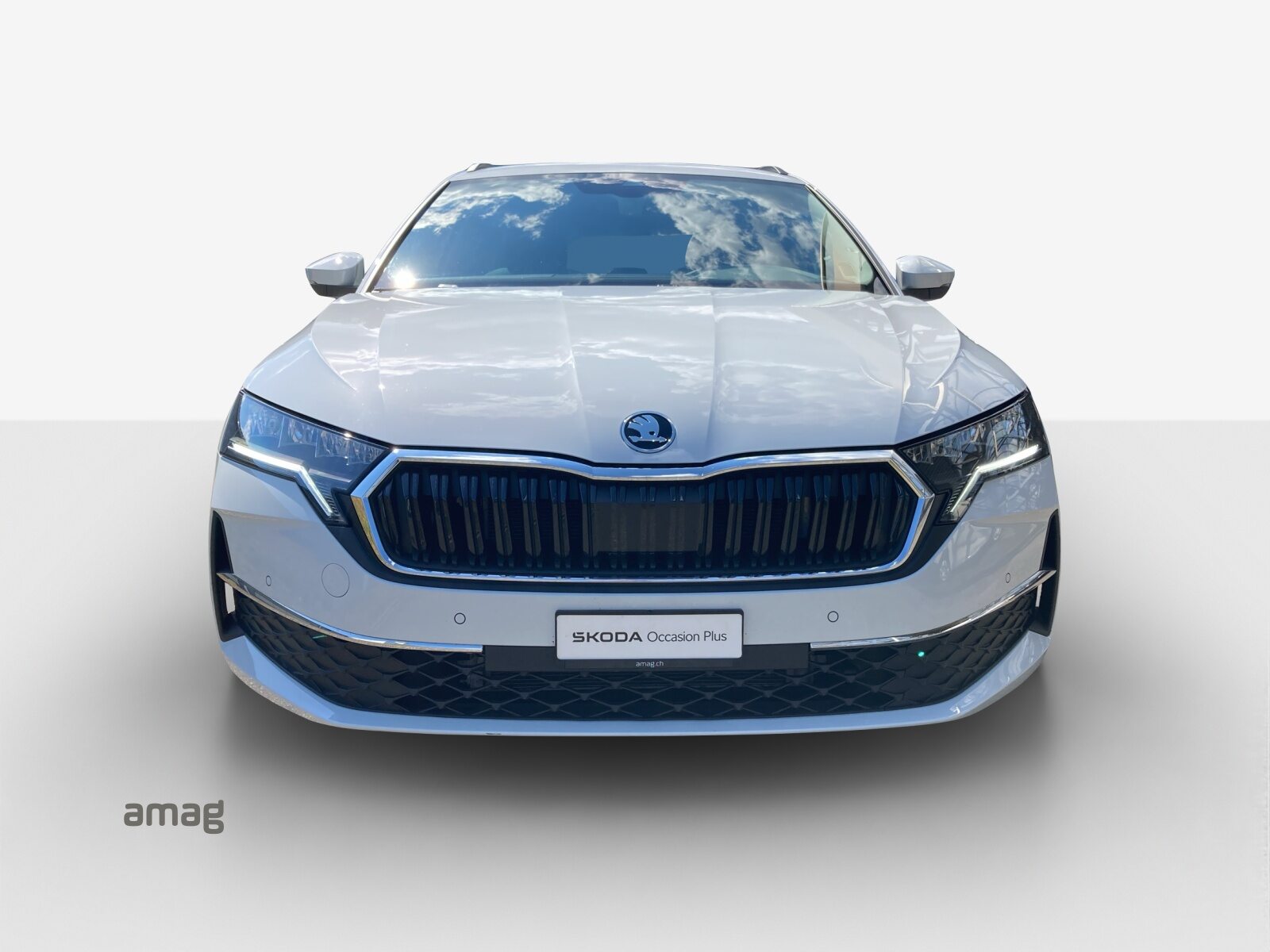SKODA Octavia Selection MHEV, Benzina, Occasioni / Usate, Automatico - 7
