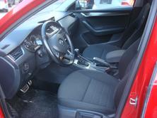 SKODA Octavia Combi 2.0 TDI Scout 4x4 DSG, Diesel, Occasioni / Usate, Automatico - 7