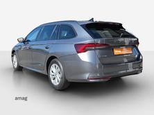 SKODA Octavia Selection, Diesel, Occasioni / Usate, Automatico - 3
