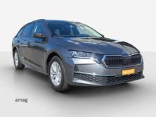 SKODA Octavia Selection, Diesel, Occasioni / Usate, Automatico - 6