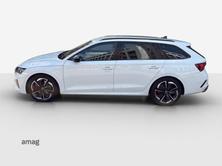 SKODA Octavia RS, Benzina, Occasioni / Usate, Automatico - 2