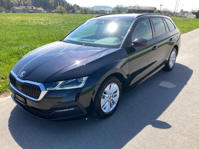 SKODA Octavia Combi 2.0 TDI DSG Ambition, Diesel, Occasion / Gebraucht, Automatik