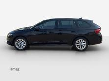 SKODA Octavia Selection, Diesel, Occasion / Gebraucht, Automatik - 2