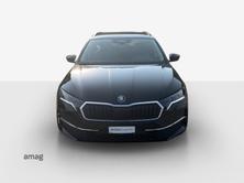 SKODA Octavia Selection, Diesel, Occasion / Gebraucht, Automatik - 7