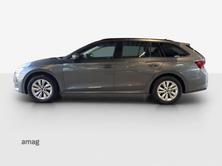 SKODA Octavia Selection, Diesel, Occasioni / Usate, Automatico - 2